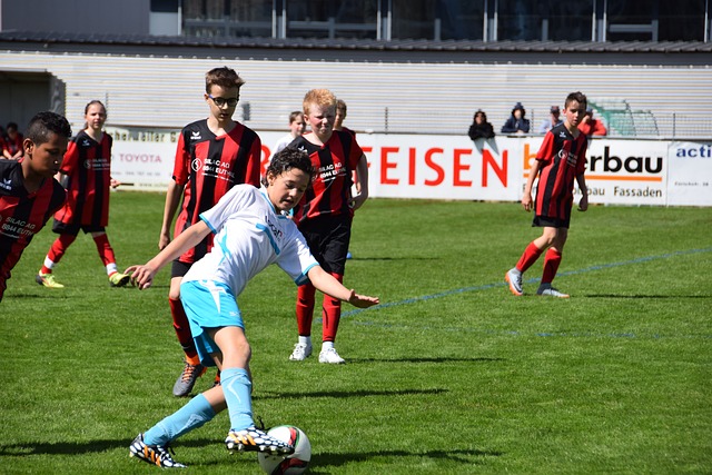 归对桑托斯 归对桑托斯