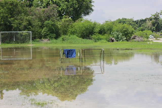 行业内树立 行业内树立