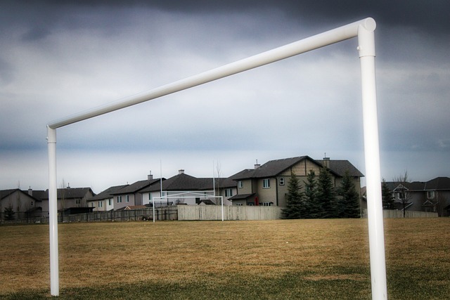 而湯普森逐 而湯普森逐