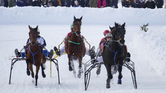 淡出賽場 淡出賽場