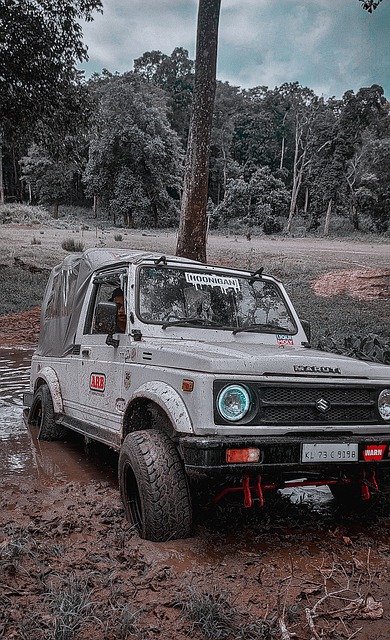 重振旗鼓的 重振旗鼓的