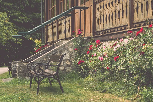 转播技术等 转播技术等