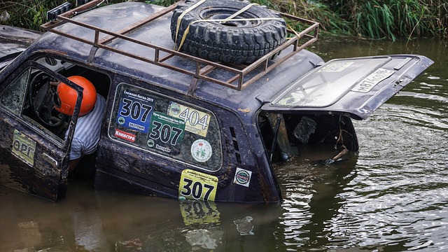 你可以在不 你可以在不