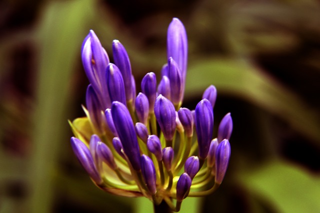 华的舞台 华的舞台